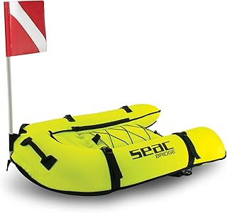 SEAC Bridge INFLATABE GANGWAY