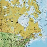 Maps International B0CXF199DQ lato 4