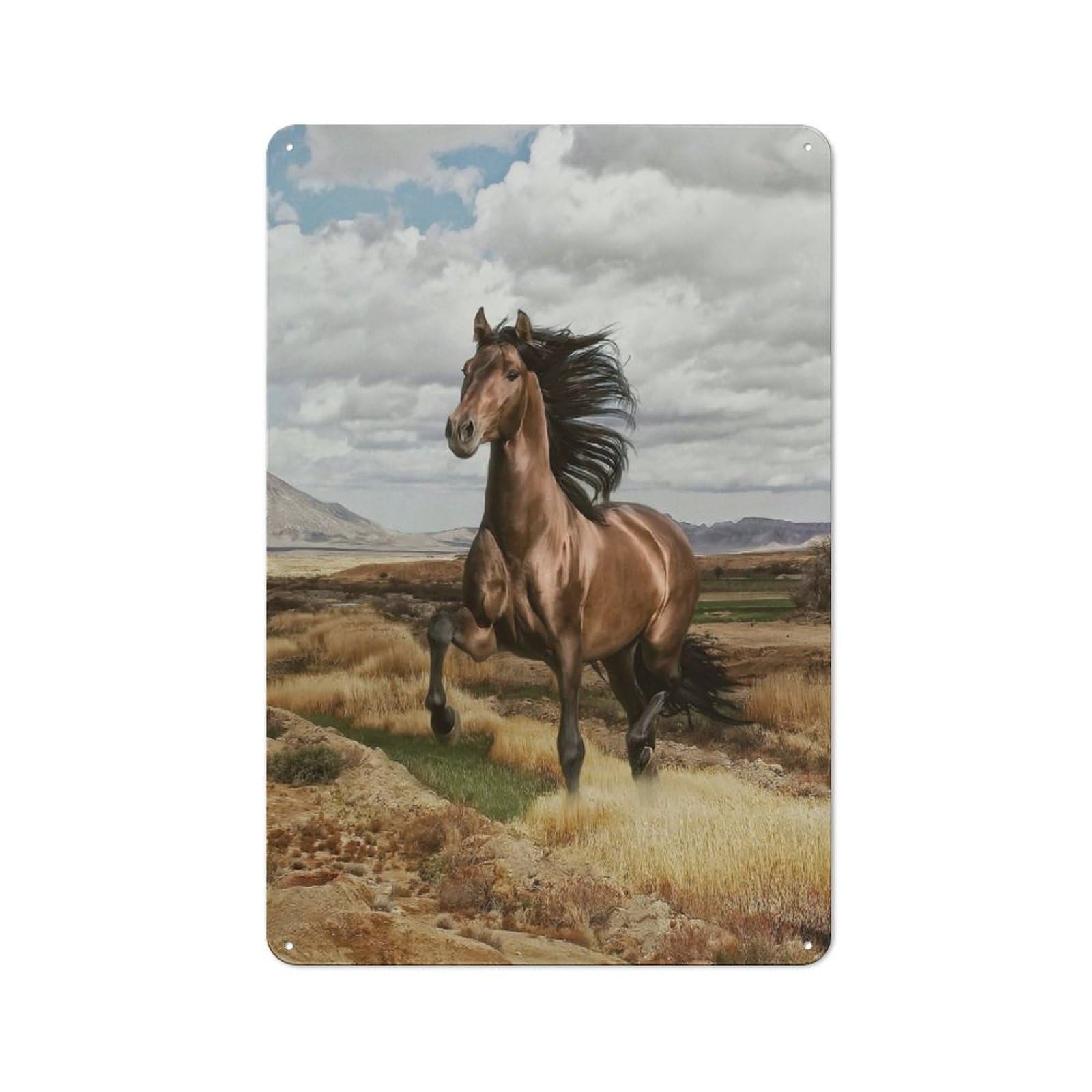 Junmoney Style-16 Metal Plaque With Horse In The Field Design 30X20cm, Cosy Diner Style Decor For Coffee Bar, Kitchen, Bistro Or Tea Corner