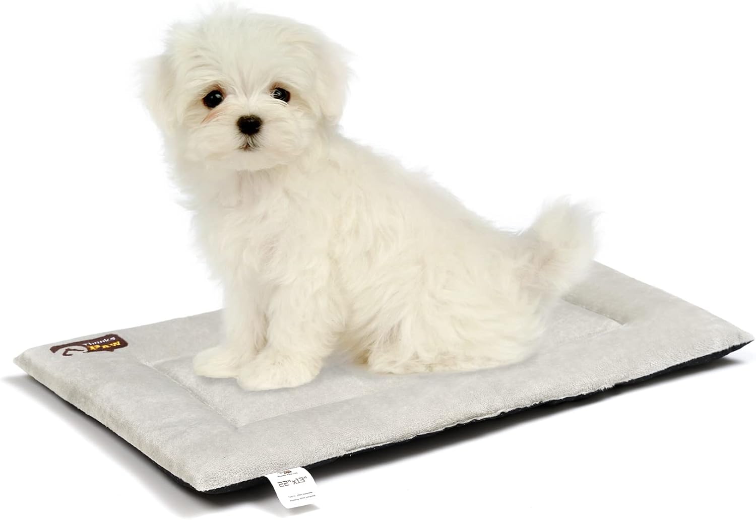 scratch proof dog beds