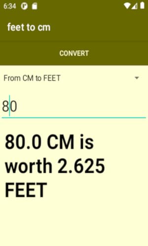 Convert Feet to CM