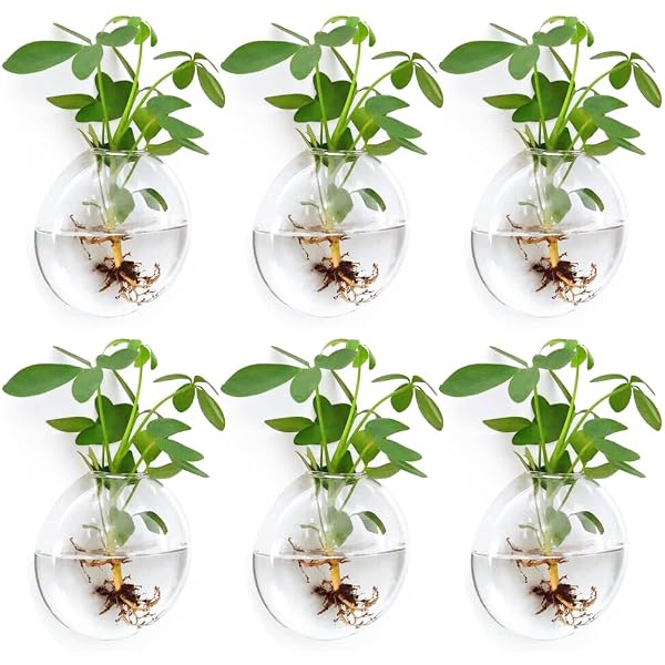 Wall Propagation Planters 6 Pack Glass Wall Planters for Indoor Plants, Wall Plant Holder Plant Propagation Wall Hanging, Glass Flower Vase Indoor Hydroponic Decor by Fashionstorm - Used condition - US$25.64