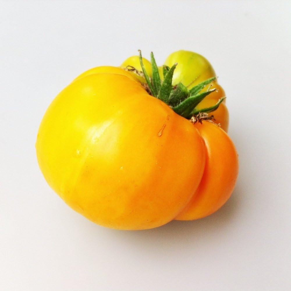 Yellow Brandywine Tomato 4 Plants Heirloom/Great Taste