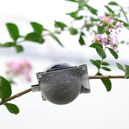 Miniatura 7 de SupKing Bola de propagación de enraizamiento de plantas mitad negra, mitad negra, kit de capas de aire, enraizamiento de corte asistido, dispositivo