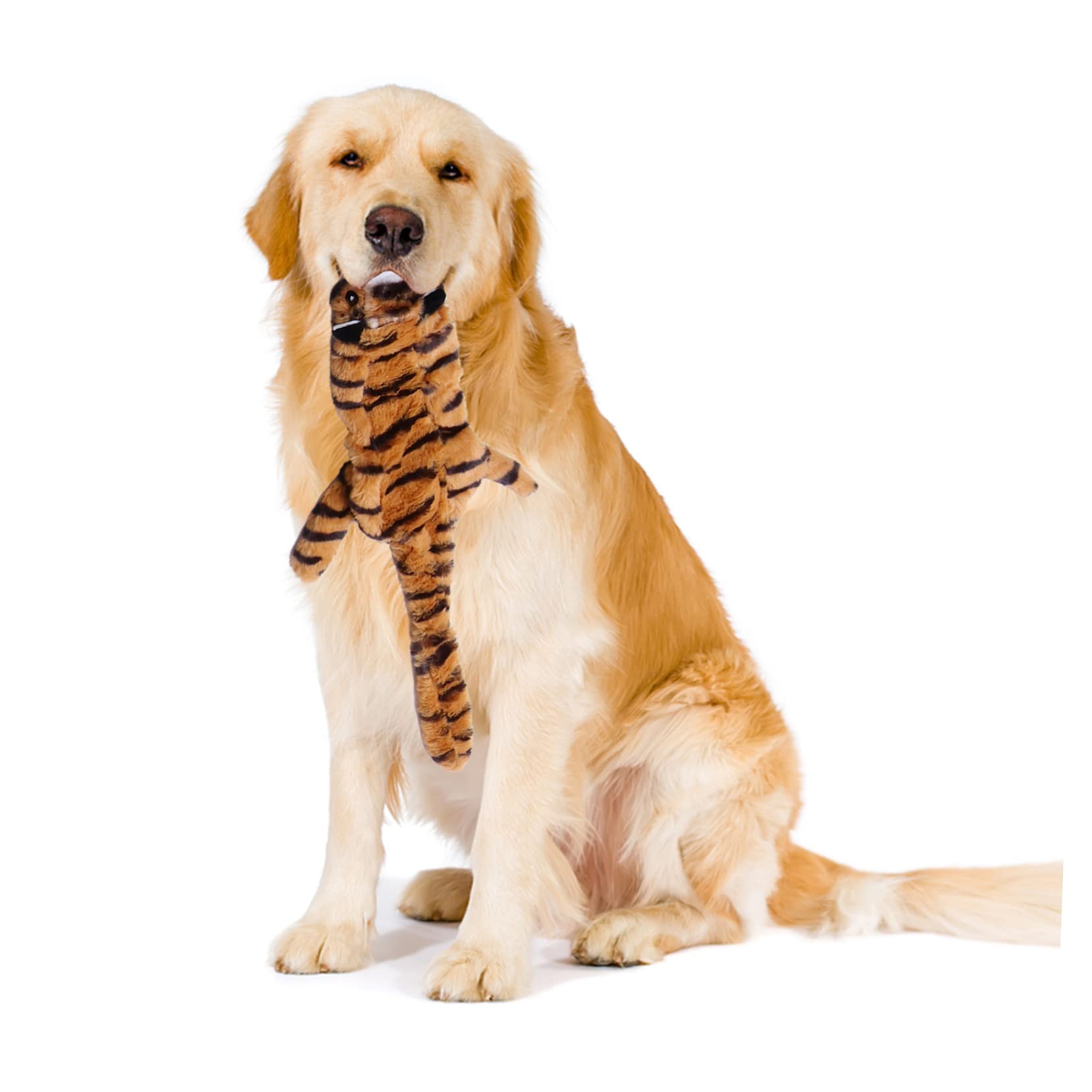 SUPVOX 6pièces Jouet à Mâcher Peluche pour Chiens Jouet Molaire Sonore Accessoire De Nettoyage pour Animaux De Compagnie