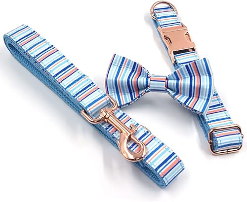 Miniatura 48 de PETDURO Collar de perro personalizado con nombre y teléfono grabado en hebilla de metal – Personalizado para perros medianos y grandes – Impresiones