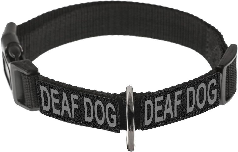 Dogline Omega Nylon Collar for Dogs with 2 Removable Deaf Dog Patches (Custom, 16"-21")