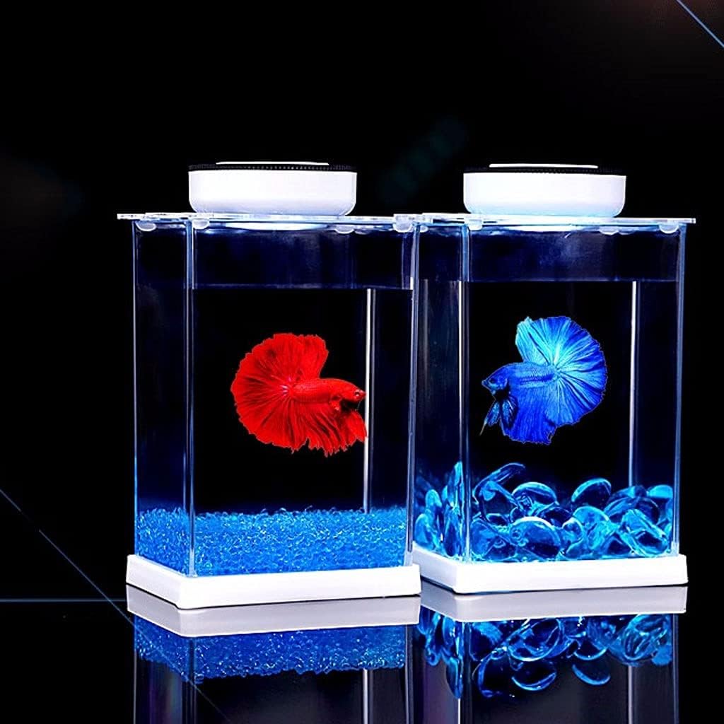 small square fish tank