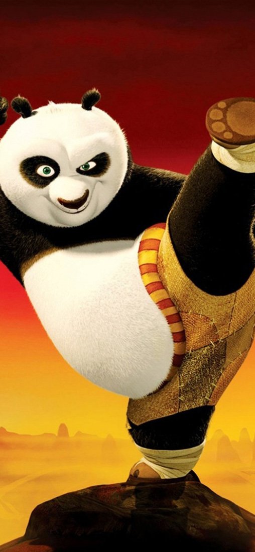 PeelitStickit 60 Width x 130 cm Height Kung Fu Panda 2 copy Vinyl Wall Mural