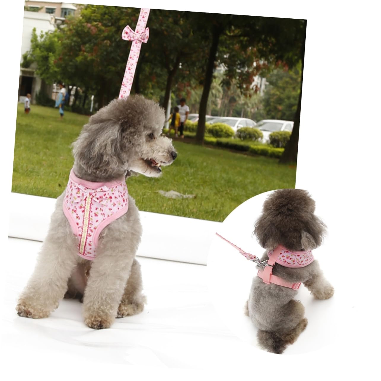 Angoily Conjunto De 3 Correas para El con Estampado De Flores para Perros Pequeños Y Estilo Caballero De Malla De Algodón Transpirable.