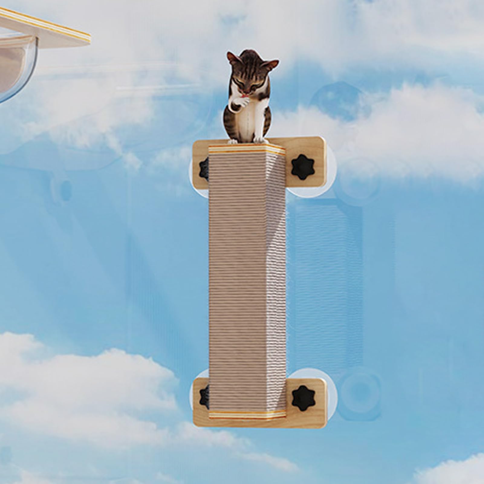 Mensole Per Gatti Posatoio Per Finestra, Tiragraffi, Giochi, | Parete Da Arrampicata Interna Con Tiragraffi Arrampicata Relax Per Finestra Porta Casa Esterno