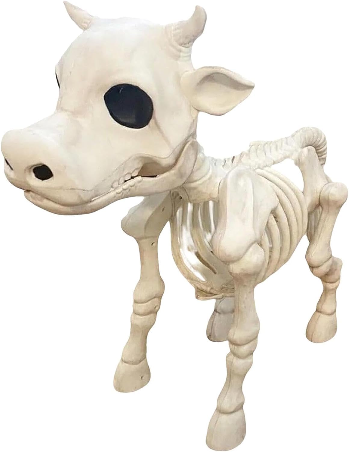 Buy HePbAK Halloween Cow Skeleton Decor, Realistic Full Body Posable Joints Cow s y Halloween