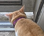 Review Image by Pierce Family