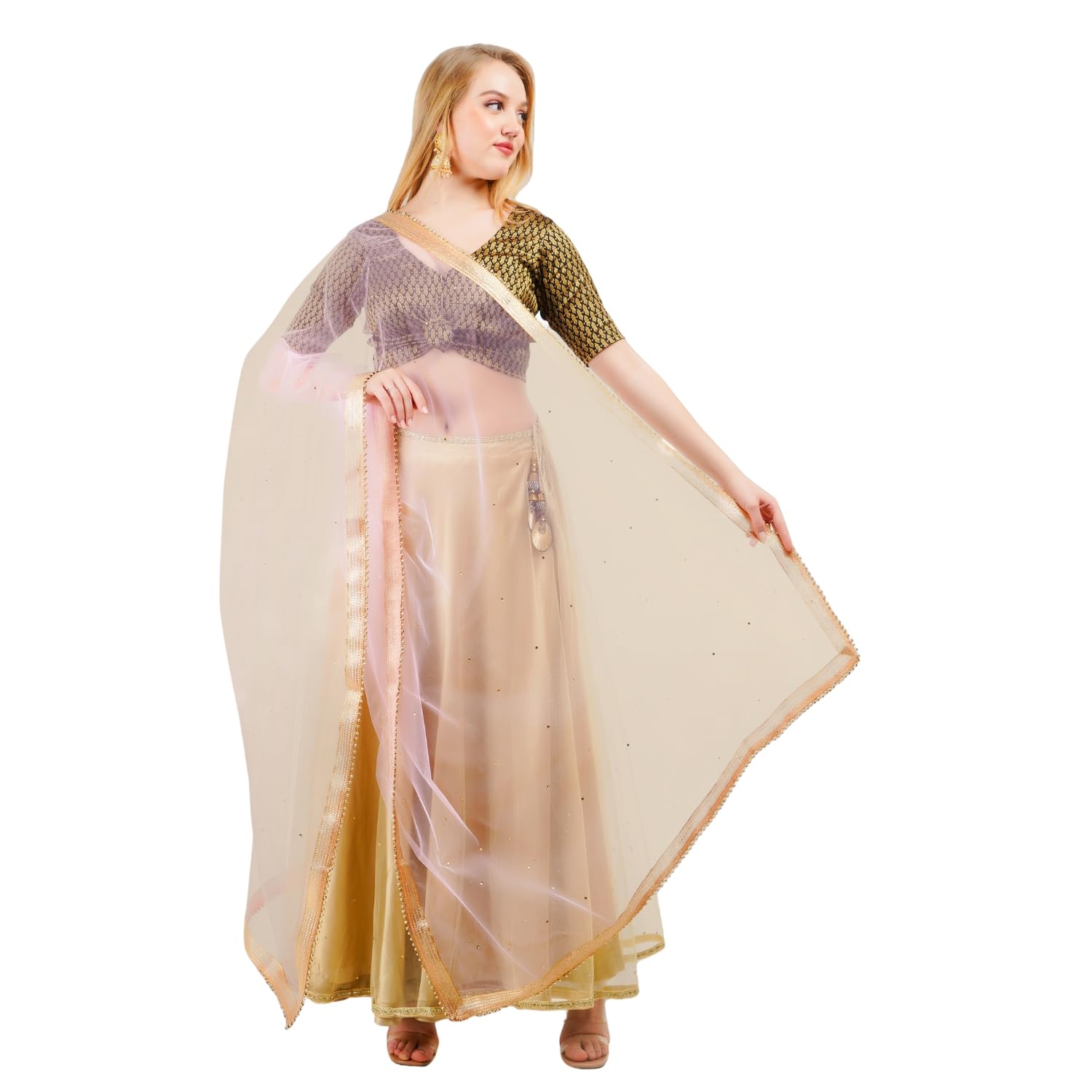karthav fashion Women's Chandla Net Dupatta-picture-27
