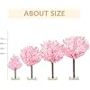Product Photo 5