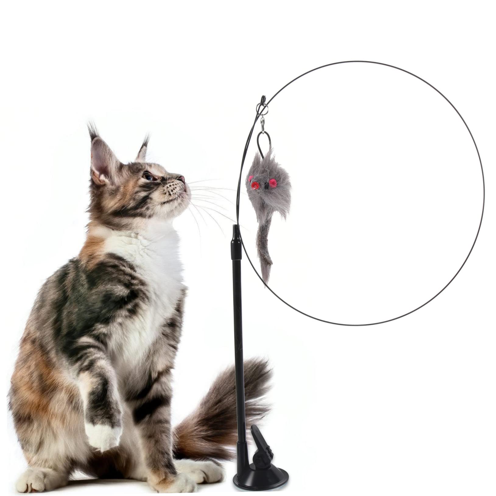 Happyyami Canne à Chat Interactive avec Ventouse Jouet Détachable pour Chats Intérieur Stimule Les Instincts De Chasse Et Renforce Le Lien avec Votre Animal