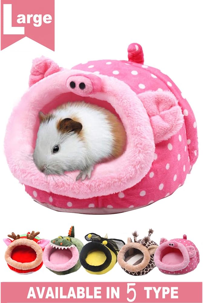 guinea pig toys amazon