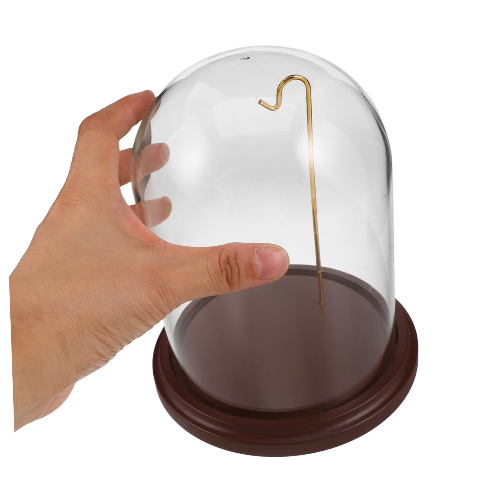 SHINEOFI Taschenuhrglas Display mit Hakenkuppel und Holzsockel, 16 CM