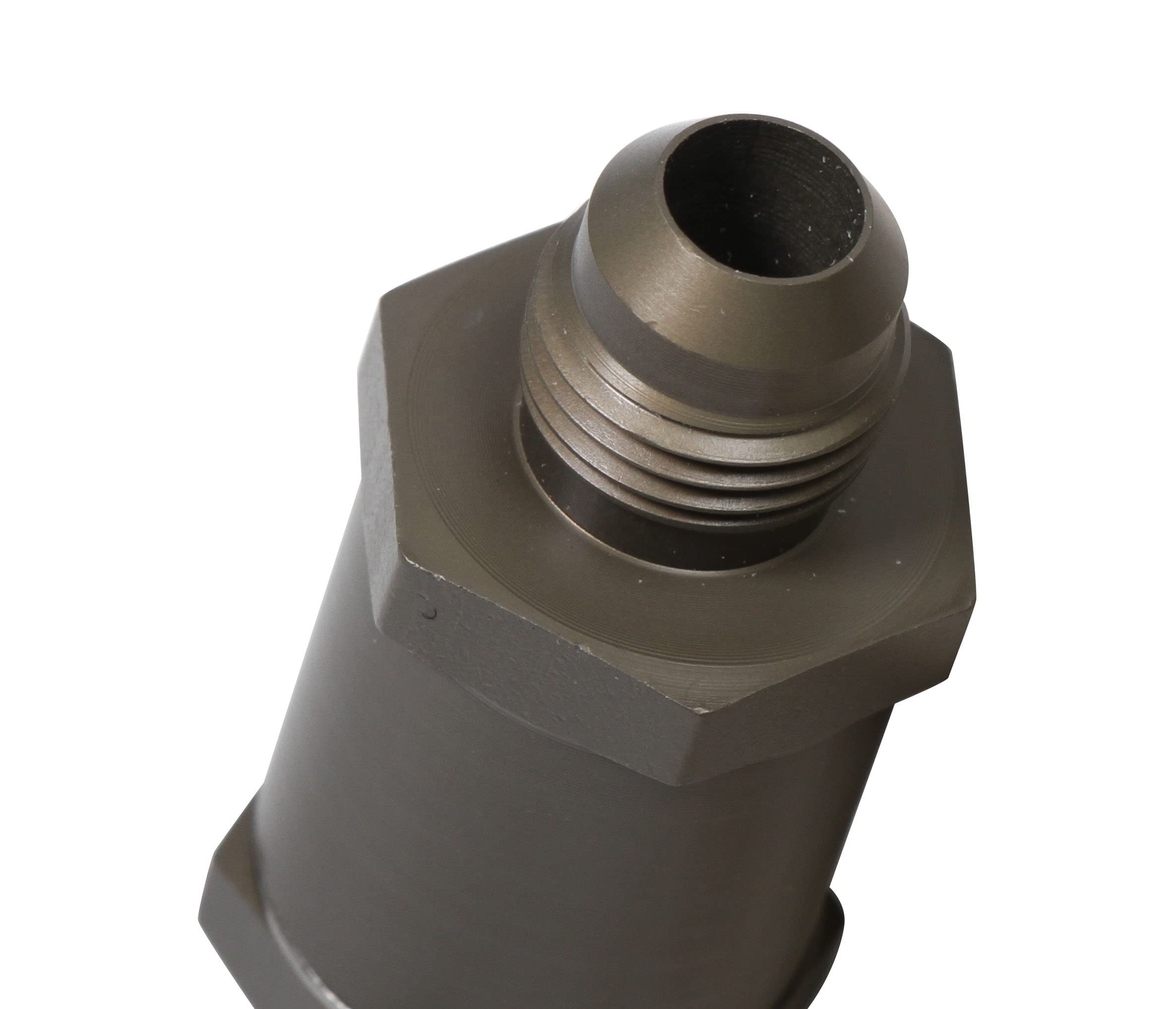 Earl's 253006ERL UltraPro One Way Check Valve