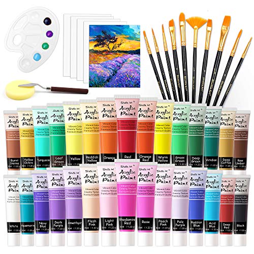 48 Pack Acrylic Paint Set, Shuttle Art 30 Colors Acrylic Paint (36ml) with 10 Brushes 5 Canvas 1 Paint Knife 1 Palette 1 Sponge, Complete Set for Kids, Adults Painting on Canvas Rocks Wood Ceramic