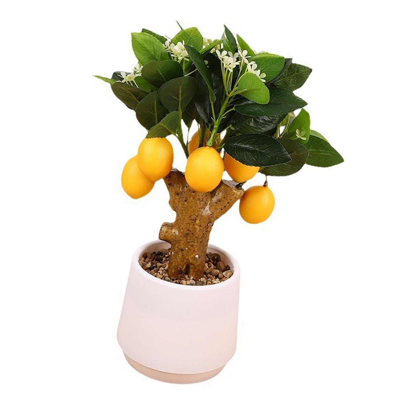 Tsophreniq Artificial Miniature Fruit Replicas Realistic Simulation Tree Faux Display for Window Decoration Faux Tree Decoration