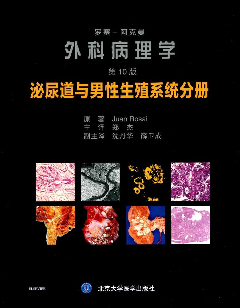 罗塞阿克曼外科病理学（第10版）：消化系统分册: 9787565916502: Books