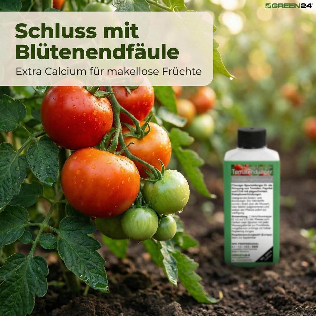 GREEN24 Tomato Food XL 1 Litre Fertilizer Chili Plant, Premium Liquid  Fertilizer As A Complete Fertilizer : Amazon.com.be: Garden