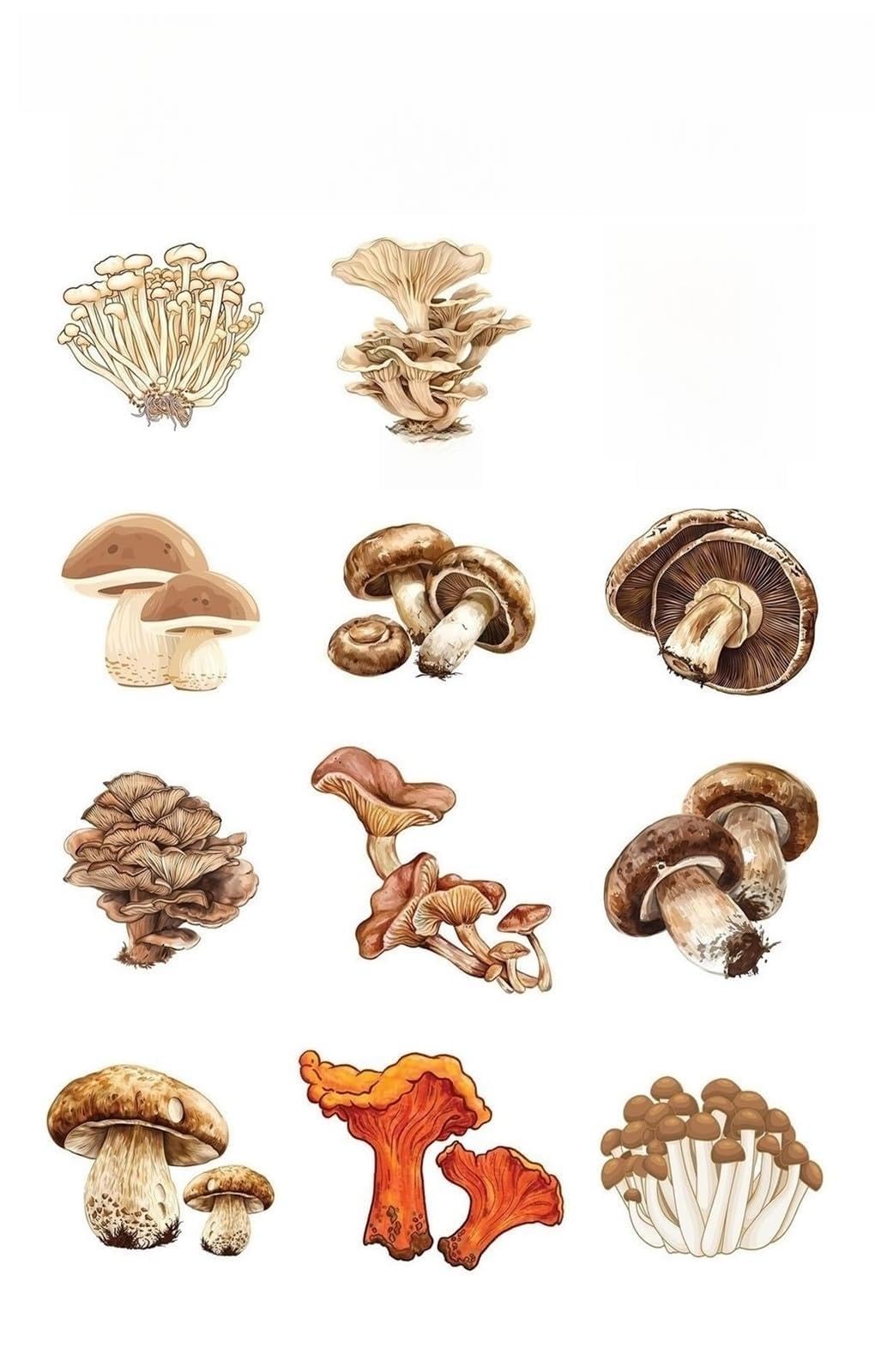 MDBJTCYZN Whimsical Mushroom Forest Poster - Playful Educational Art for Preschool, Kindergarten or Playroom Walls(Framed,08x12inch(20x30cm))