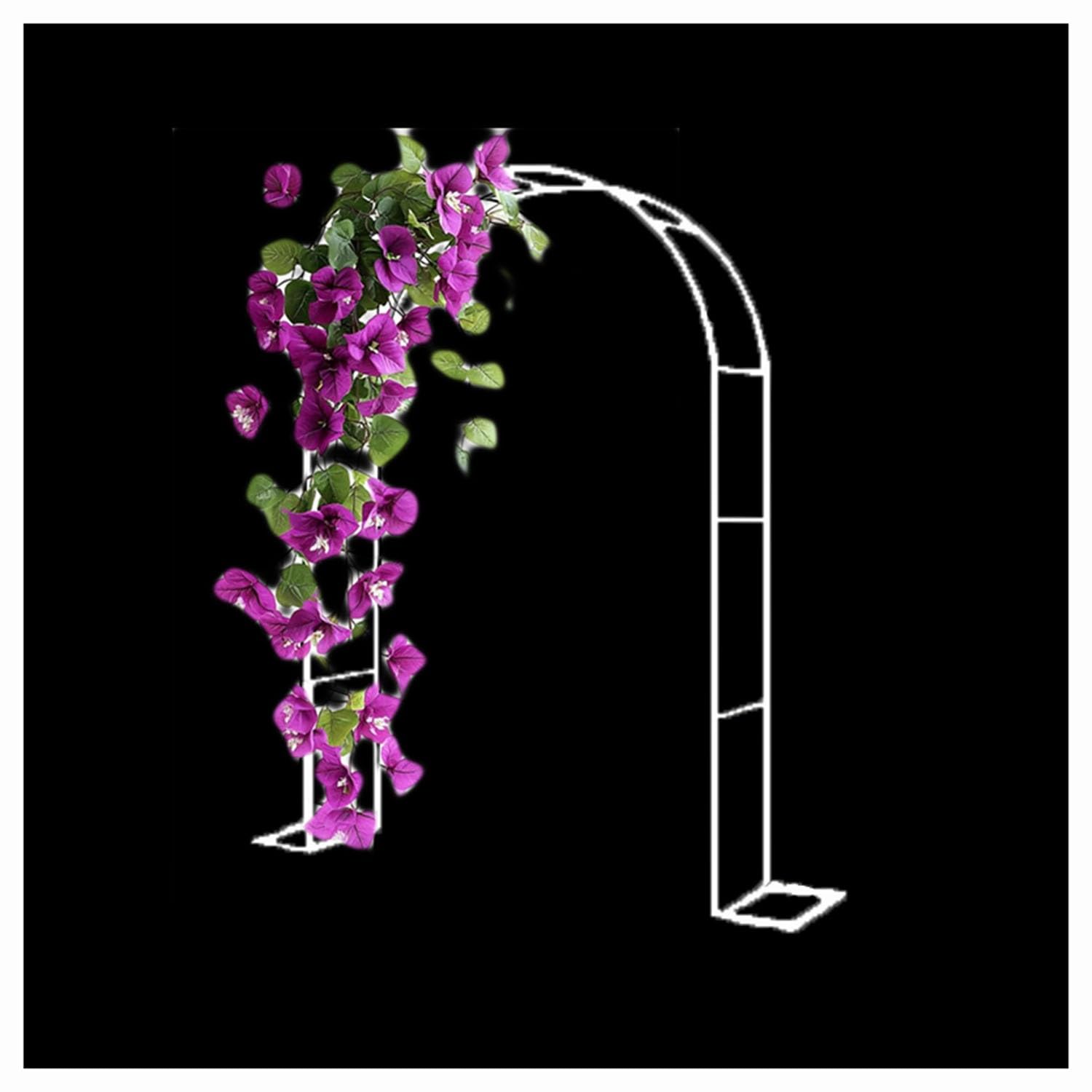 Arche de Jardin pour Plantes grimpantes Arceau à Rosiers métalli pergola Arche de Mariage pour Intérieur Extérieur Décoration de Fête de Mariag(White,300cm)