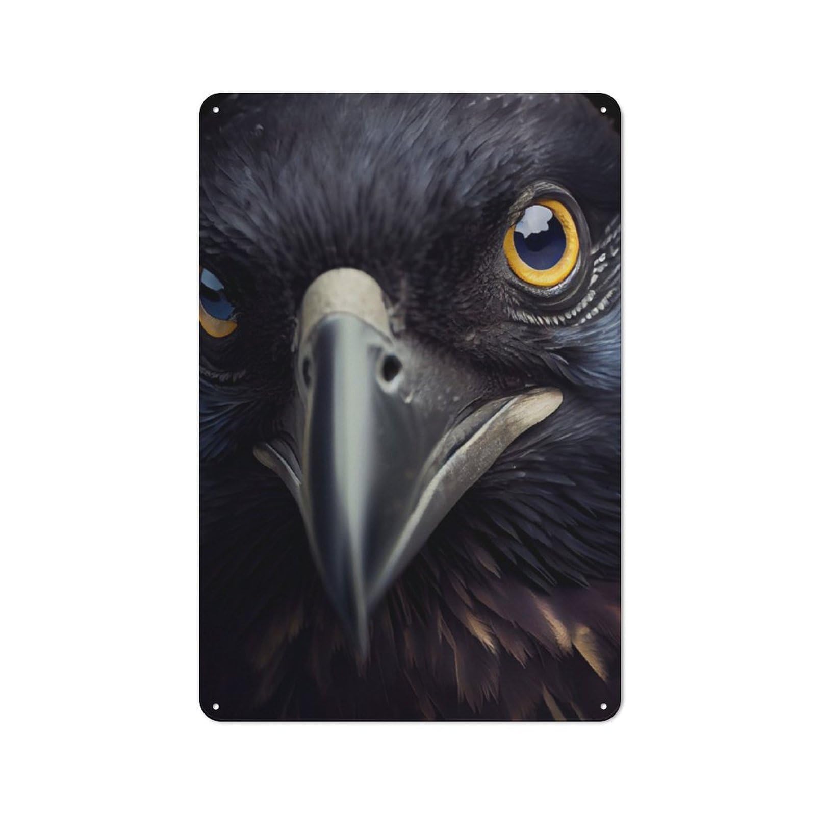 Junmoney Raven Closeup For Garden Room Or Summerhouse, Retro Metal Sign 30X20cm, For Metal Sign Collectors, For Vintage Wall Decor Fans