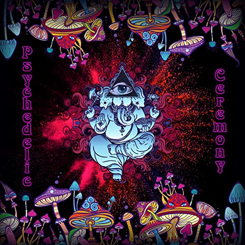 Psychedelic Ceremony: Electronic Psytrance Music for Rave Party