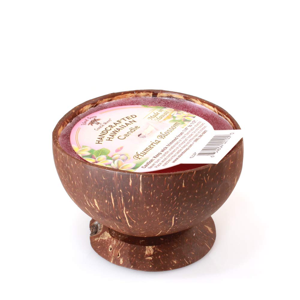 Island Soap & Candle Works Mini Coconut Bowl Candle