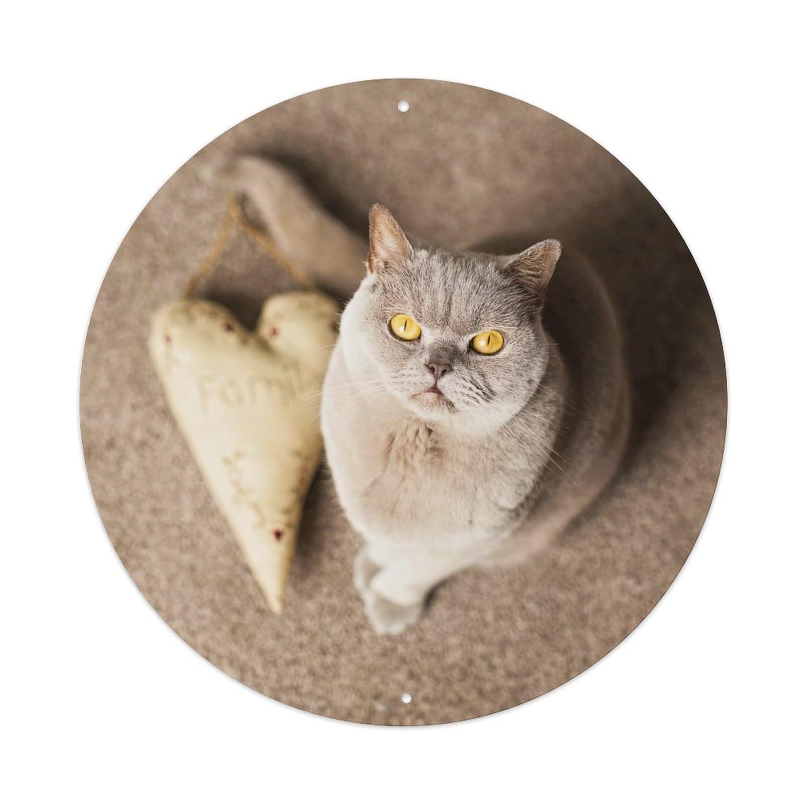 Cwbufd Vintage Style Animal - British Shorthair Cat With Heart Accent For Cozy Home Interior Design Vintage Metal Tin Sign Plaque Wall Decor For Cafe, Club Bar, Office, Garden Metal Poster 8X8inch