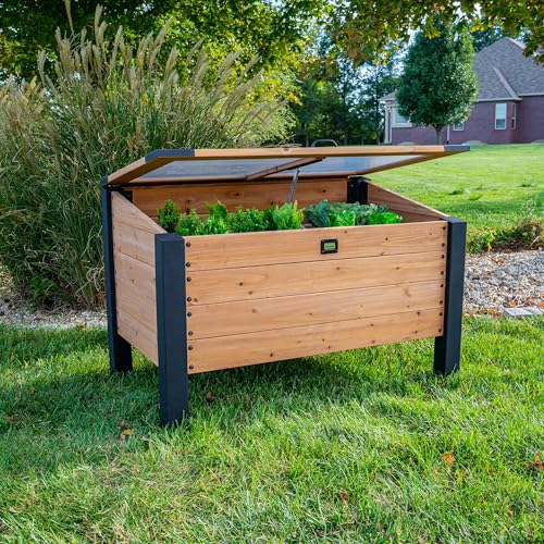 Backyard Discovery Aggie 4 x 2 Cedar Wood Cold Frame Portable Mini Greenhouse Raised Garden Planter with Temperature-Activated Polycarbonate Lid Mesh Drainage for Year-Round Outdoor Gardening