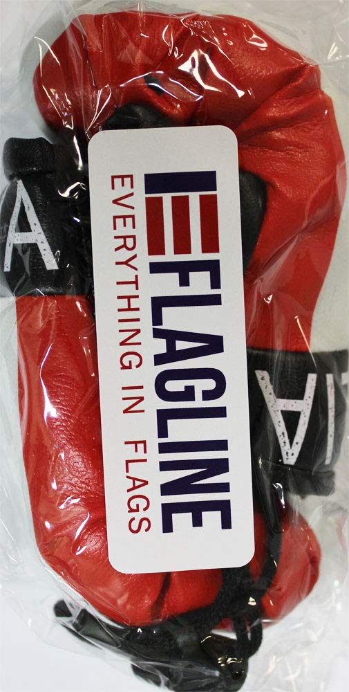 Mappa Del Messico Sul Globo Illustrazione Di Stock - Illustrazione Di - Foto 7