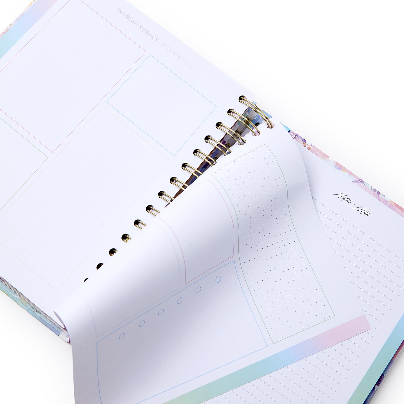 Takenote Academic Diary 2025 2026 - A5 Size (16.5x20.5 cm), Day per Page, Academic Format September to August, Double Wire-O Binding, Bilingual: Spanish & English - Violet - Image 3