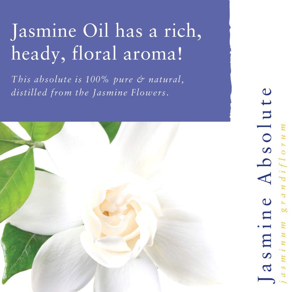 Absolute Aromas Ätherisches Jasminöl, 2 ml