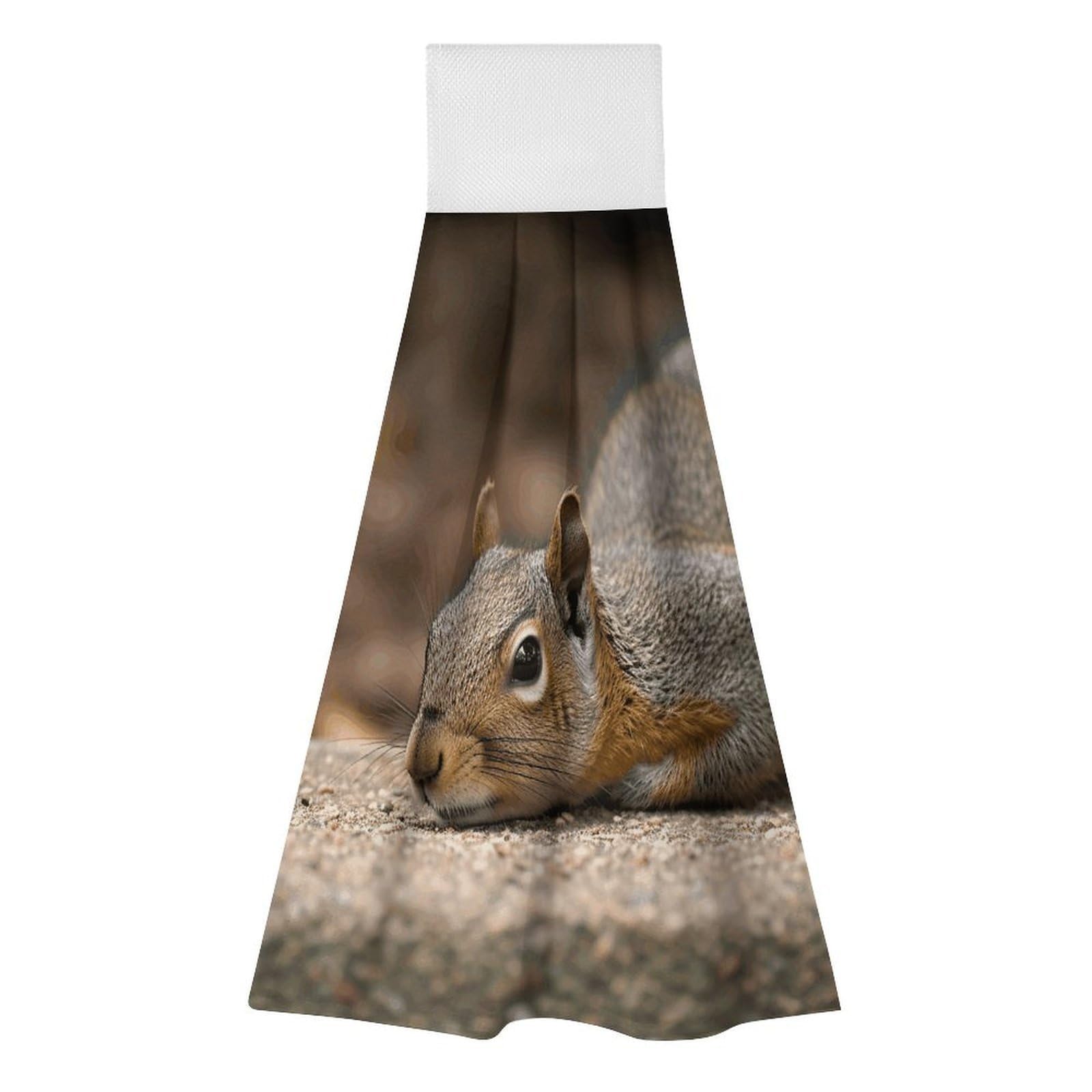 BTCOWZRV Squirrel Just Laying Hanging Kitchen Towels with Loop, 2 PCS Luxury Hand Towels for Bathroom, Soft Microfiber Absorbent Face Towels Quick Dry Cleaning Cloths for Kitchen Dish Towels