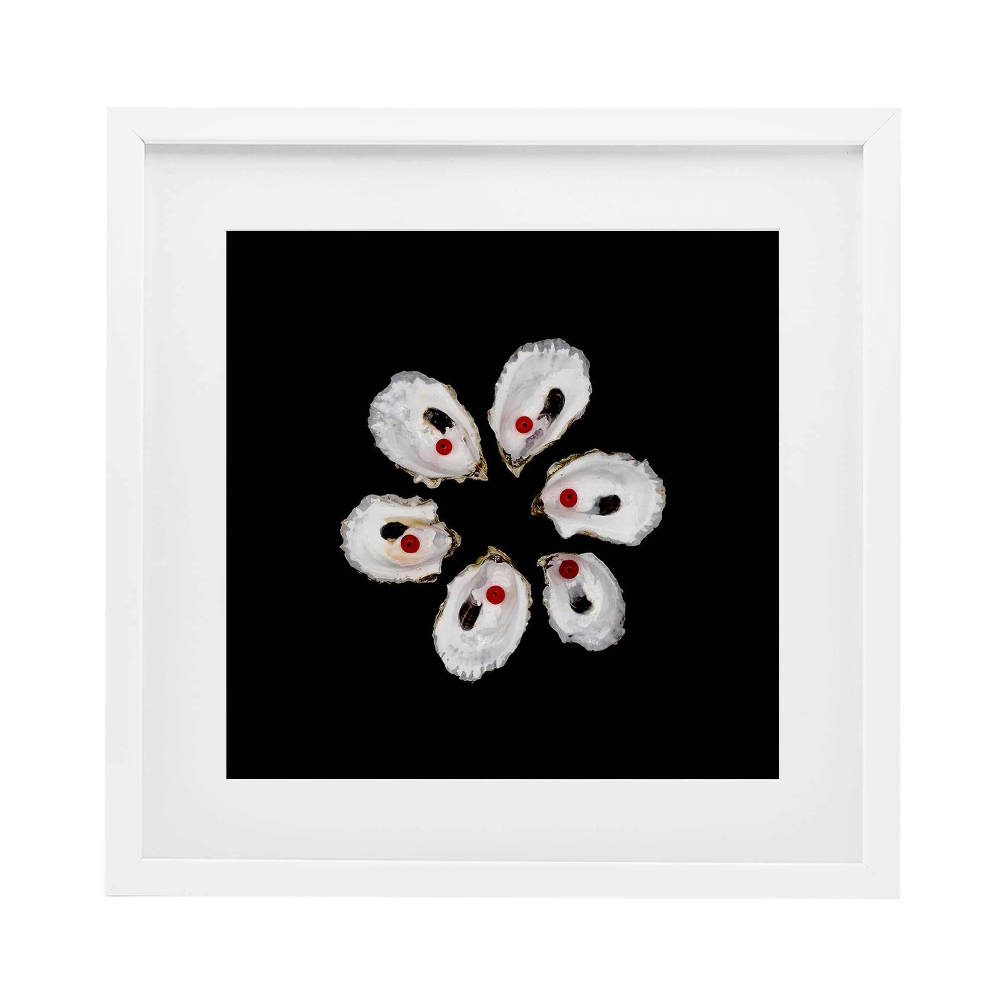Stupell Industries Coastal White (Textured) 'Oyster Shells Symmetry'| Framed Print Under Glass