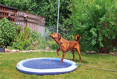 infactory Wasserspielmatte Kinder: Wasser-Spielmatte für Kinder & Hunde, Schlauchanschluss, PVC, BPA-frei (Wasserspielmatte Garten, Haustier-Sprinkler-Pad, Gartenschlauch)
