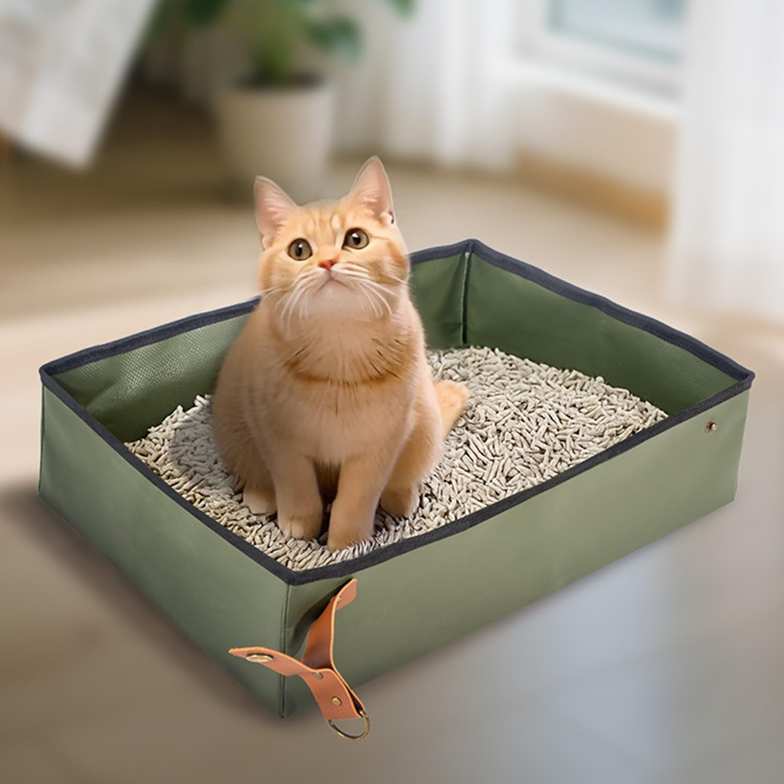 Lettiera Portatile Per Gatti - Vassoio Igienico Da Viaggio | Toilette Compatto Trasporto Animali Domestici per Casa Appartamento Auto Viaggi Campeggio