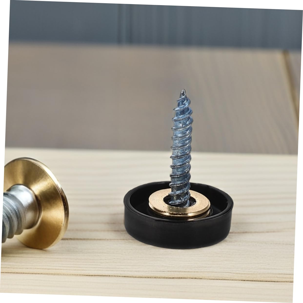 12 Pcs Decorative Mirror Screws Black Caps Stainless Steel 16mm
