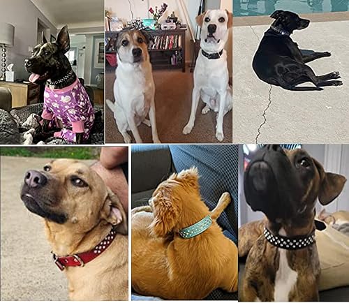 Miniatura 6 de Pimaodog Collar de perro con diamantes de imitación, collar ajustable de cuero genuino con tachuelas de cristal brillante para perros pequeños y