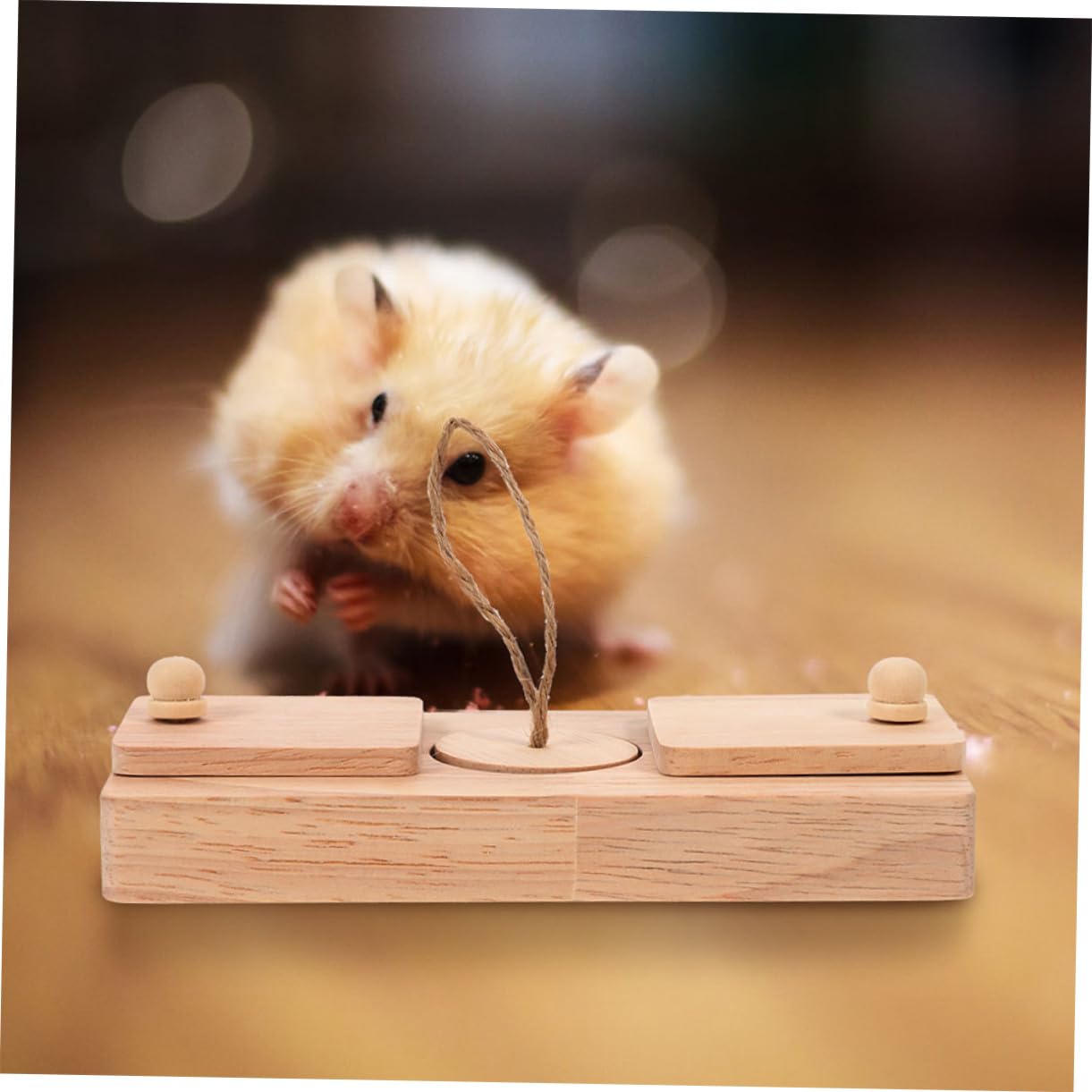 VICASKY Hamster Leckerli Spielzeug mit Suchfunktion im 2 Stück