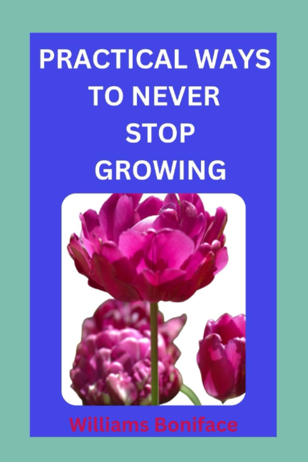 PRACTICAL WAYS TO NEVER STOP GROWING: Harnessing the Power of Continuous Improvement: Steps for Lifelong Learning