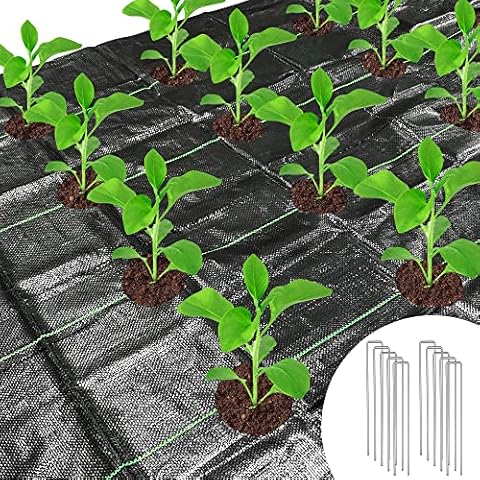 1.2x4M Weed Control Membrane with Holes, Weed Barrier, Landscape Fabric with Planting Holes, Garden Ground Membrane Mats with 10 Steel Pegs Cover