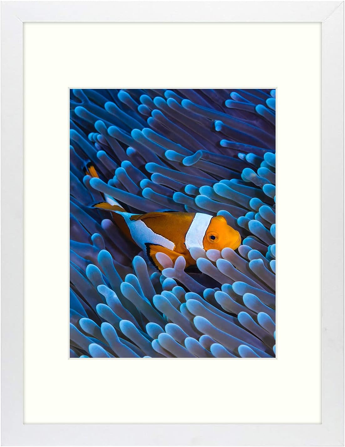 Frametory 12x16 Picture Frame, Display Pictures 8.5x11