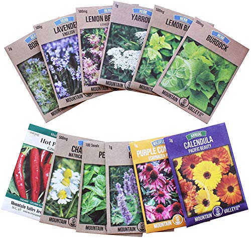 Medicinal Herb Seed & Tea Seed Assortment - 12 Non-GMO Healing Herb Seeds for Planting - Burdock, Yarrow, Chamomile, Echinacea, More - Survival Seeds