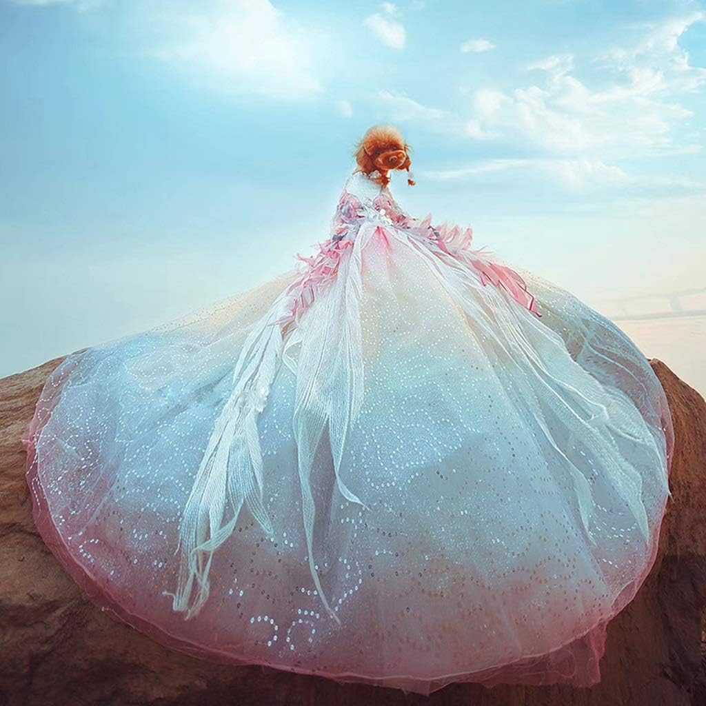 Pet Dog Dress High-End for Small Dogs Trailing Princess Wedding Dress Puppy Clothes Gorgeous Wing Adorn Pearl Rainbow Chihuahua (Size : Large) (X)