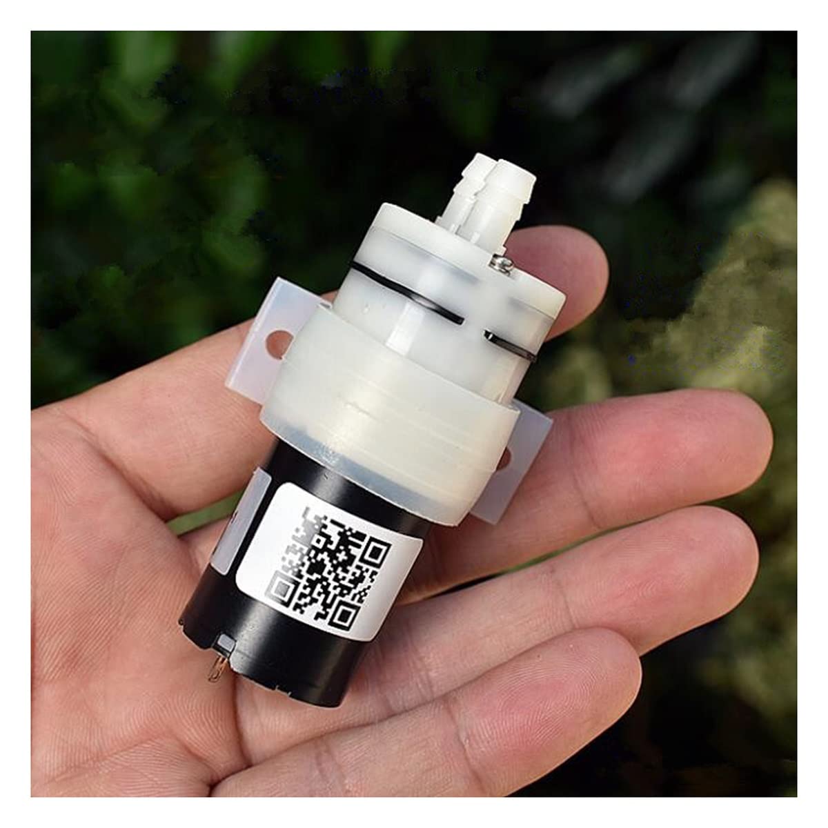 Amazon.co.jp: 電動水中ポンプ 24V 5W ポンプ 370 モーターポンプ 自吸